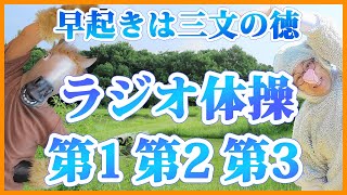 第43回【ラジオ体操指導員実演！】夏のダイエット・脂肪燃焼に！毎日10分意外にハードなラジオ体操第1第2第3をやってみましょう😁