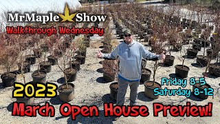 Open House 10 Gallon Japanese Maple Preview | MrMaple Walkthrough Wednesday