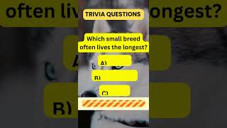 Fun Dog Trivia Challenge: Test Your Canine Knowledge! #trivia #shorts