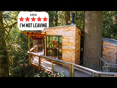 Inside This Treehouse Built by Real Masters - Treehouse Point