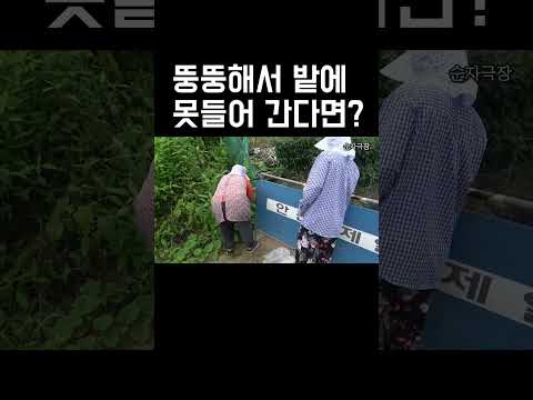 시어머님이 뚱뚱해서 밭에 못들어 간다면?