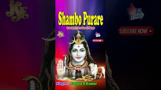 Shambo Purare #shorts #shortsvideo #jaysindoorshorts #trending #youtubeshorts #mpl