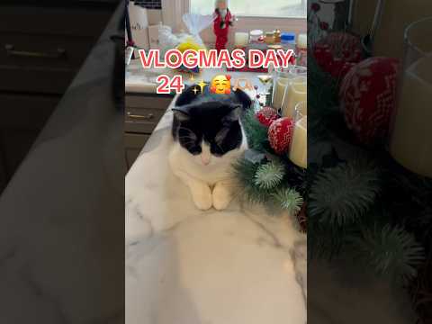 Vlogmas day 24 #vlogmas2024 #vlogmas #dayinmylife