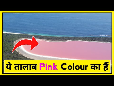 यह तालाब Pink Colour का है | Unite Fact | Pink Lake | #shorts #Shorts