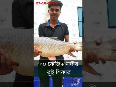 ১০ কেজি + রুই মাছ ধরলাম নদী হতে । #fishingshorts #riverhookfishing #fishingmethods #fishing