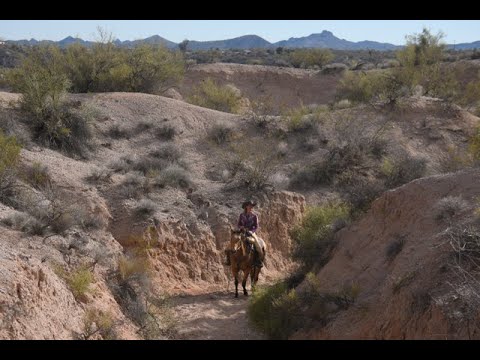 TV Worth Watching - Full episode of Today's Wild West visits Western Wickenburg!