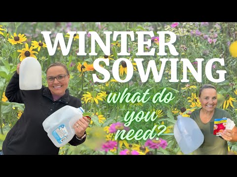 WINTER SOWING ESSENTIALS | must-have materials, container ideas, & so much excitment