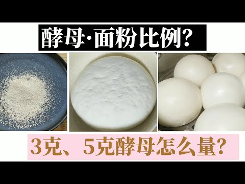 The ratio of yeast to four for steamed buns｜How to measure yeast without an electronic scale？