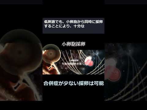 新卵子凍結ショート動画（縦長）v1a