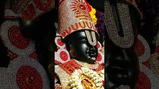 TIRUMALA TIRUPATHI VENKATESWARA SWAMI DEVOTIONAL SONGS #venkateswarasongstelugu #tirumalatirupati #V