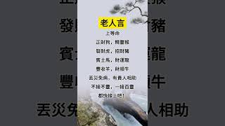 #老人言：上等命🙏正財狗，精靈猴，發財虎，招財豬，賓士馬，財運龍，豐收羊，丟災免病，有貴人相助🙏不接不靈，一接百靈，都快接上吧！🙌#正能量 #感悟 #智慧 #祝福2