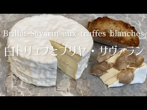 Brillat-Savarin aux truffes blanches/Brillat-Savarin with white truffles/白トリュフとブリヤ・サヴァラン