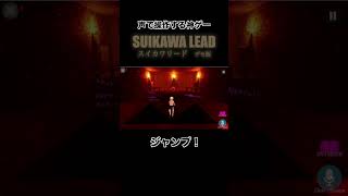 彼は確かに指示を聞いてくれた【SUIKAWA LEAD】