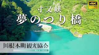 寸又峡　夏の夢のつり橋