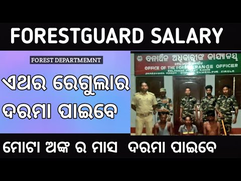 Forest guard salary 2023!!odisha forest guard salary 2023