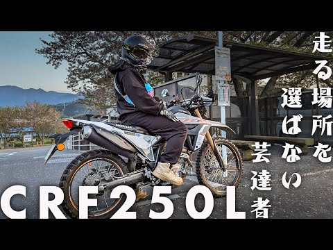 【 試乗 】走る場所を選ばない芸達者！ HONDA CRF250L