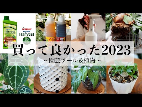 今年買って良かった植物＆園芸ツール【2023年】