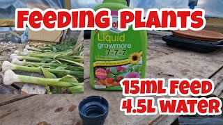 Feeding Plants With Liquid Growmore