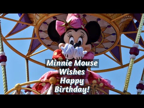 Minnie Mouse Wished ME A Happy Birthday!!! | Walt Disney World