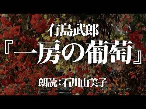 有島武郎『一房の葡萄』 朗読:石川由美子