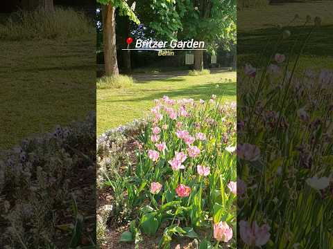 Britzer Garten #berlin #explore #viral #viralvideo #shorts