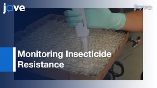 Bioassays For Monitoring Insecticide Resistance l Protocol Preview