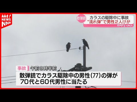 カラス駆除をしていた男性がつまずいた弾みに散弾銃発砲→男性2人に当たる事故