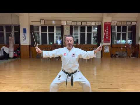 Chatanyara nu Sai segment explained #信武舘 #古武道 #shimbukan #okinawa #kobudo #karate #沖縄 #空手