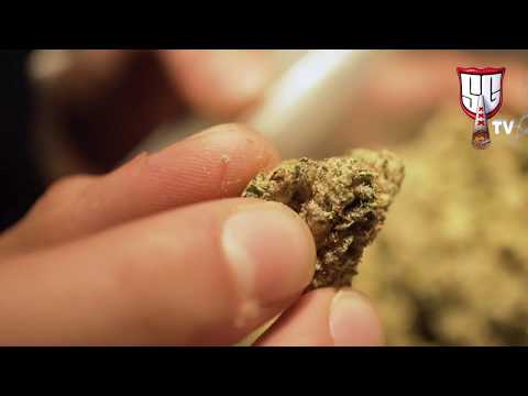 Amsterdamned Cannabis Coffeeshop Video Tour