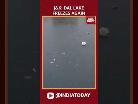 Watch: Intensified Winter In Jammu And Kashmir Which Results In Freezing Of Dal Lake Again