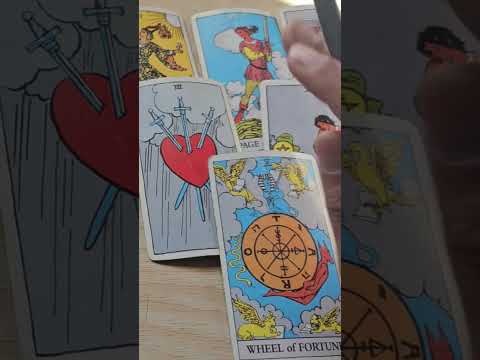 Person on your mind #tarot #tarotreading #persononyourmind