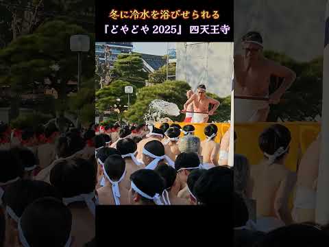 冬に冷水を浴びせられる男子学生達😅😨『どやどや 2025年』四天王寺