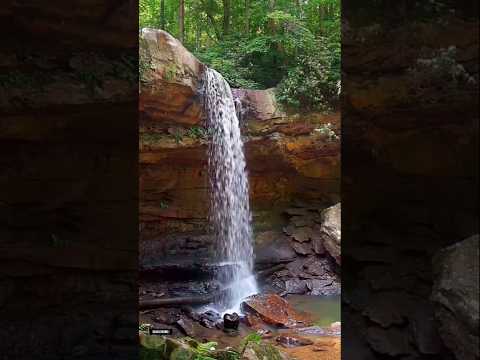 Beautiful waterfall in ohiopyle state park#shorts#viral#naturebeauty#shortsfeed