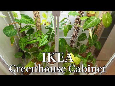 【PLANT TOUR】IKEAのキャビネットで熱帯植物を育てる｜簡易温室【Greenhouse Cabinet】