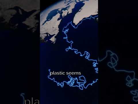 What Happens to Plastic in the Ocean?