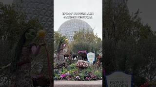 Epcot’s flower and garden festival 🌸🌼🌺 #disney #epcot #themeparkfood #flowerandgardenfestival