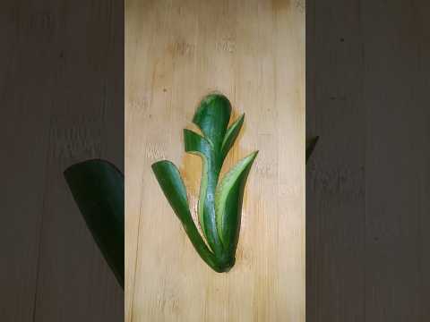 cucumber carving design #fruitcarving #fruitart #trending #fruitcutting #shorts #short