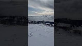 大型犬と雪山登山「雲海の根子岳で愛犬とヒップソリ投げを楽しむ」