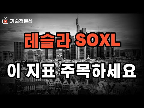 테슬라 SOXL 미국 증시 주목할 핵심 지표 ｜시장 흐름 이해하세요!