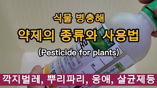 Insect repellent drugs and methods used in plants, insect appearance, podworms, root flies, mites