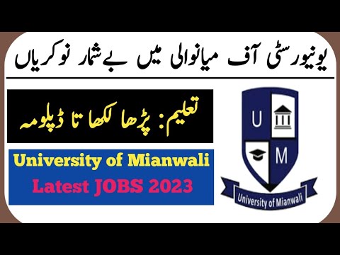 University of minewali job 2023| UOM JOB 2023| Latest UOM job 2023