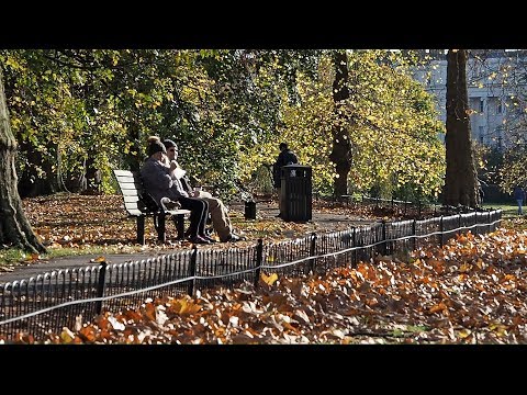 Regent's Park London on 5th November 2017