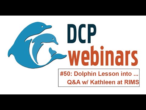 DCP Dolphin Lesson: Q&A with Dr. Kathleen!