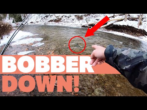 Determined to Catch My First Steelhead on the Pin (Bobber Down)