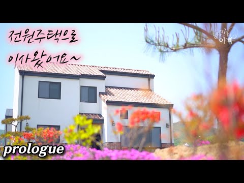 전원주택 살고 싶어 시골로 이사왔어요!/전원생활 브이로그/기러기 아빠의 시골 이야기/country life vlog/country house