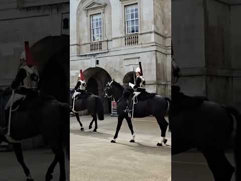 King's guards horses #king  #guards #horse #london #india #ytshots @vichethediamonds#