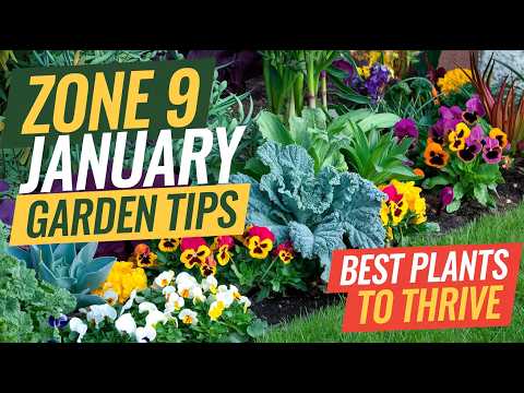 January's TOP ZONE 9 Garden Plants to THRIVE This Month!