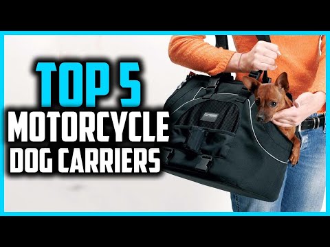 ✅Top 5 Best Motorcycle Dog Carriers in 2025