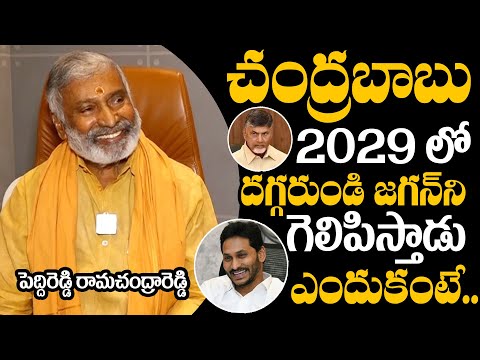 Peddireddy Ramachandra Reddy predicts YS Jagan Huge Win in AP Elections 2029 | YSRCP | YS Jagan