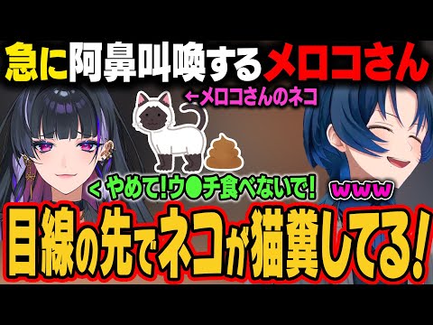 配信中に目の前で愛猫にウ●チされるメロコさん、阿鼻叫喚するｗ【火威青/ホロライブ切り抜き】